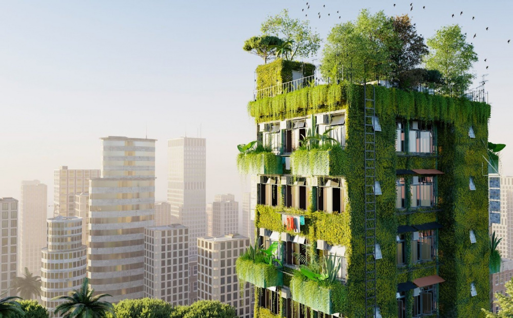 Improvement And Outstanding Service